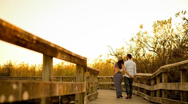 Couple walking in the Everglades