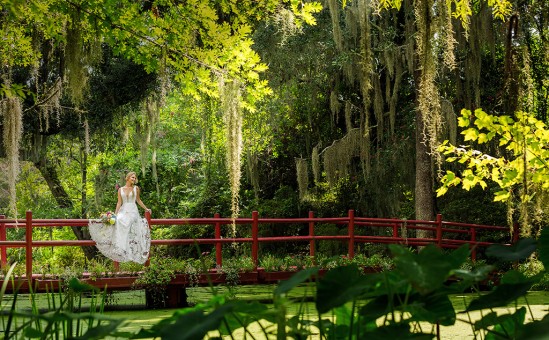Bride in the bridge at Magnolia Plantation and Gardens in South Carolina