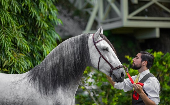 Horse Hacienda Don Carmelo Weddings, Vega Baja, Puerto Rico