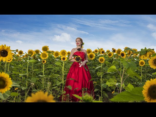 Javier Olivero Destination Wedding Photographer San Juan Puerto Rico - Video and Cinematography