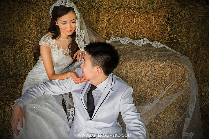 Palomino Island weddings