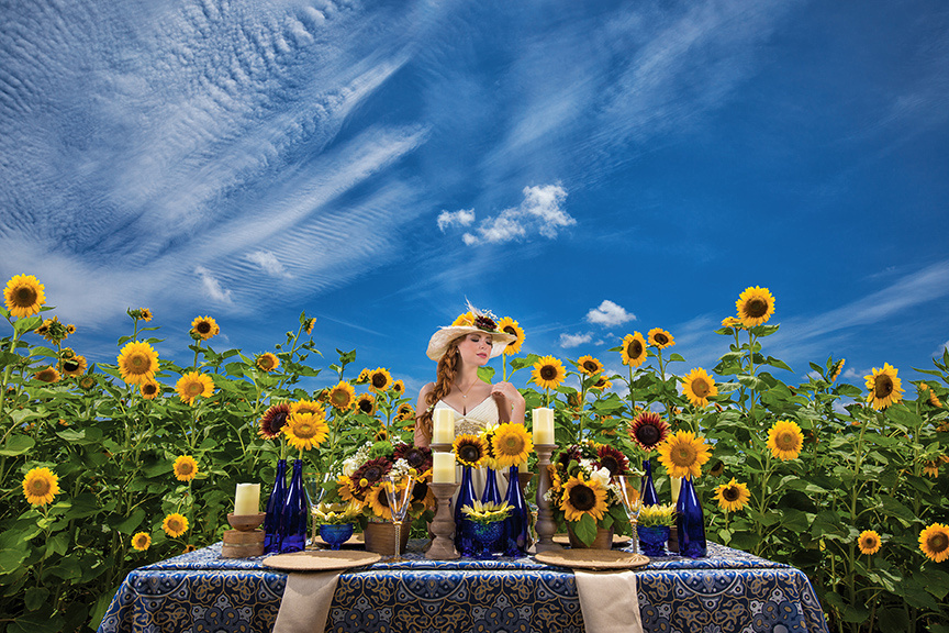 025-Girasoles