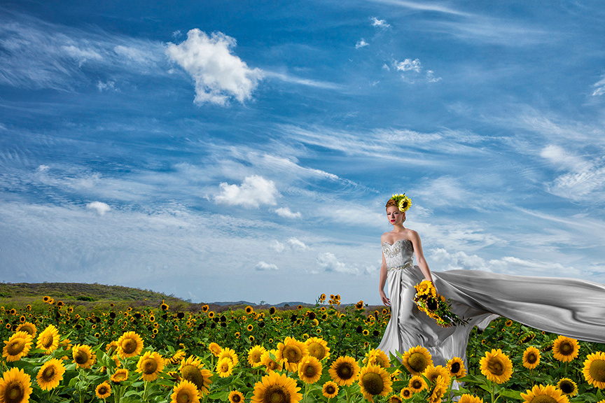 067-Girasoles