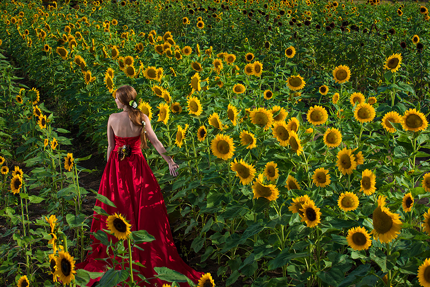 109-Girasoles